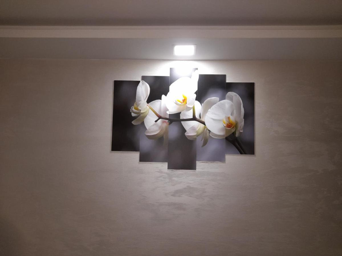 Appartamento Daca 1 Belgrado Esterno foto